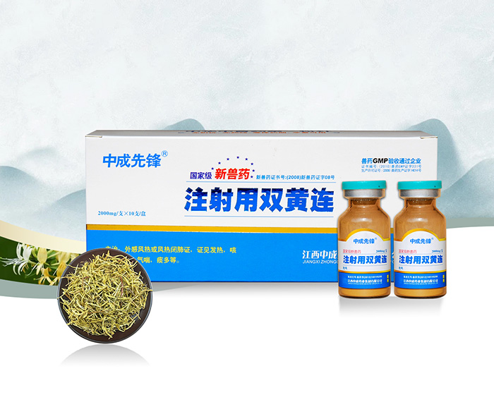 注射用雙黃連（先鋒）